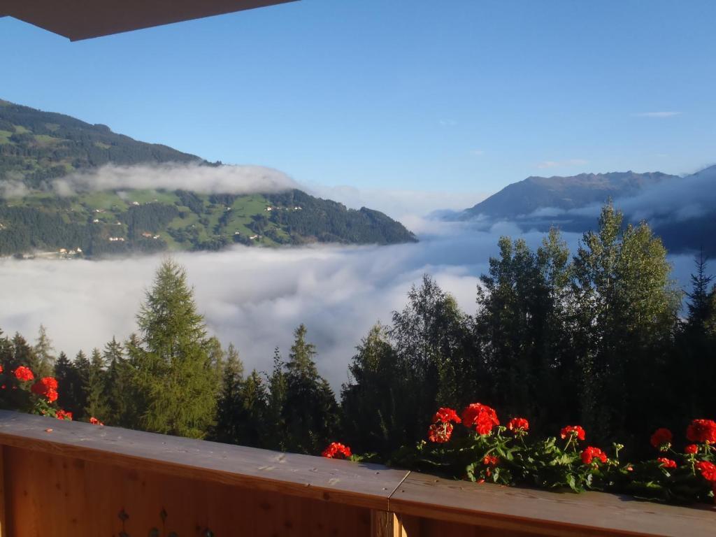 Landhaus Alpenjaeger Hainzenberg Chambre photo